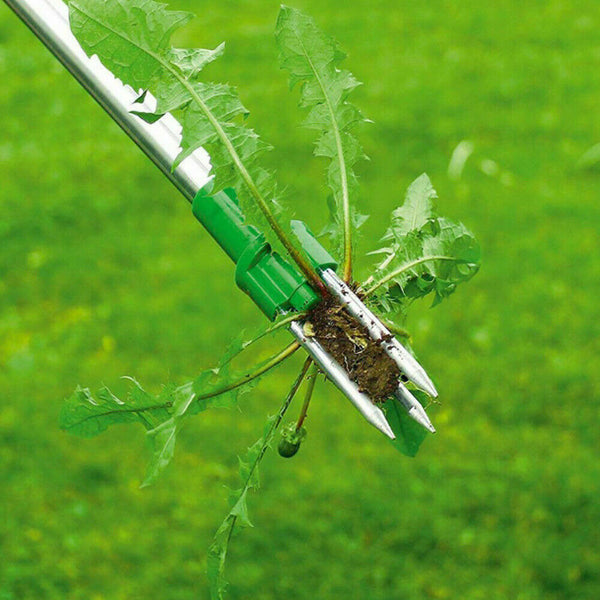 Weed Puller Weeder Twister Twist Pull Garden Lawn Root Killer Remover Tool  - Lets Party