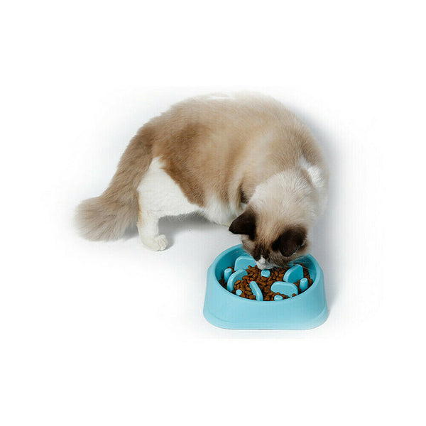 Dog Slow Feeder Pet Bowl Fun Bloat Maze Interactive Food Healthy Eating Dog Cat - Lets Party