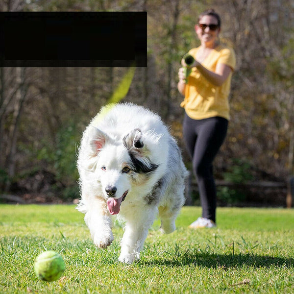 Dog Tennis Ball Gun Launcher Pet Play Outdoor Toy Fetch Throw Interactive Toy - Lets Party