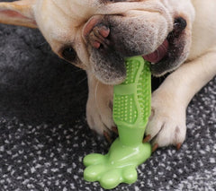 Dog Chew Toys Pet Puppy Toothbrush Molars Cleaning Brush Teeth Rubber Bite Ball