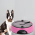 Pet Dog Feeder AUTO PET FEEDER Cat Bowl Dispenser LCD Automatic Program Digital - Lets Party