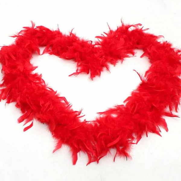 2M Feather Boa Party Dressup Wedding Flower Strip Fluffy Craft Costume Décor - Lets Party