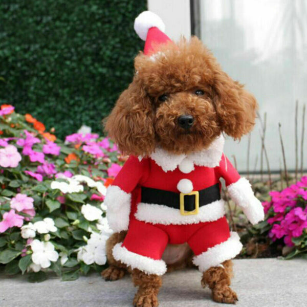 Dog Puppy Cat Clothes Christmas Xmas Santa Claus Cute Costumes Party Apparel - Lets Party