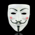 ANONYMOUS HACKER V FOR VENDETTA GUY FAIGES FANCY DRESS HALLOWEEN FACE MASK E& - Lets Party