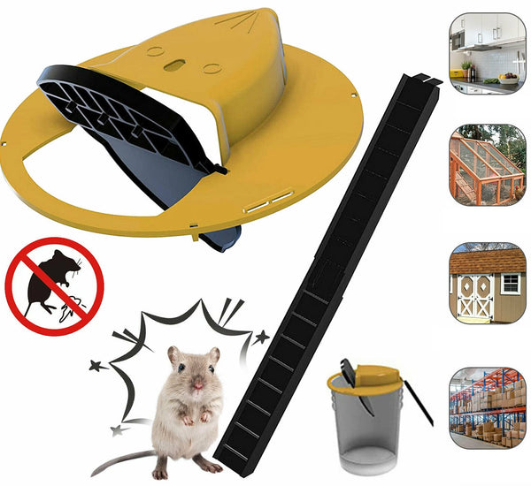 Flip N Slide Bucket Lid Mouse Trap Flip N Automatic Mouse Rat Trap with Ladder - Lets Party