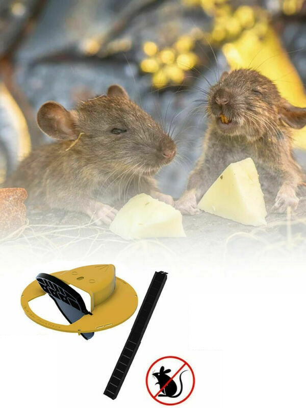Flip N Slide Bucket Lid Mouse Trap Flip N Automatic Mouse Rat Trap with Ladder - Lets Party