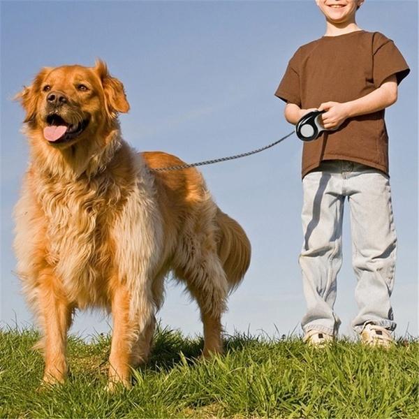 5M Adjustable Dog Pet Puppy Lead Leash Rope Retractable Extendable Training Walk - Lets Party