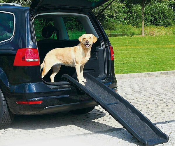 Folding Car Dog Ramp Portable Step Ladder & Strong Dog Training Leash Padded Lead - Lets Party