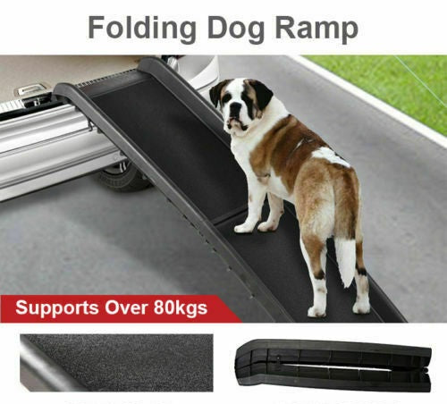 Folding Car Dog Ramp Portable Step Ladder & Strong Dog Training Leash Padded Lead - Lets Party