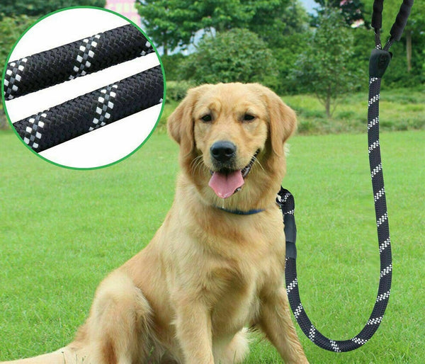 Folding Car Dog Ramp Portable Step Ladder & Strong Dog Training Leash Padded Lead - Lets Party