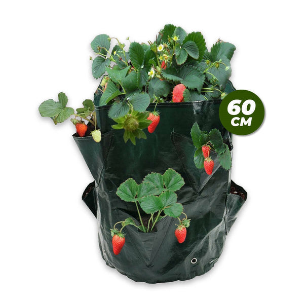 Planter Bag Mould Proof UV Resistant Collapsible 8 Pockets NEW Garden Greens - Lets Party