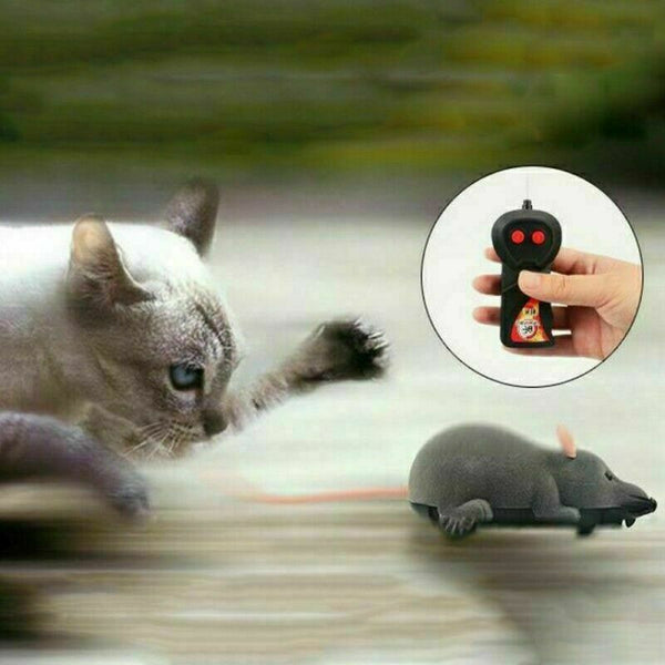 Pet Cat Puppy Toy Wireless Remote Control Electronic Rat Mouse Mice Toys - Lets Party