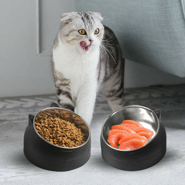 200ml Pet Cat Dog Bowl Tilted Food Water Feeder No Slip Raised Stainless Steel - Lets Party