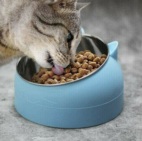 200ml Pet Cat Dog Bowl Tilted Food Water Feeder No Slip Raised Stainless Steel - Lets Party