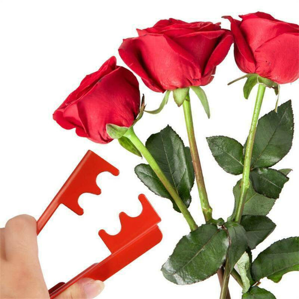 Metal Holly Remover Gardening Rose Stem Flower Floristry Stripper Thorn Leaf AU - Lets Party