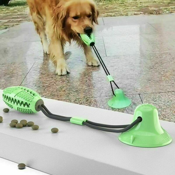 Interactive Rubber Pet Molar Bite Floor Suction Cup Dog Balls Puppy Chew Toy Aus - Lets Party