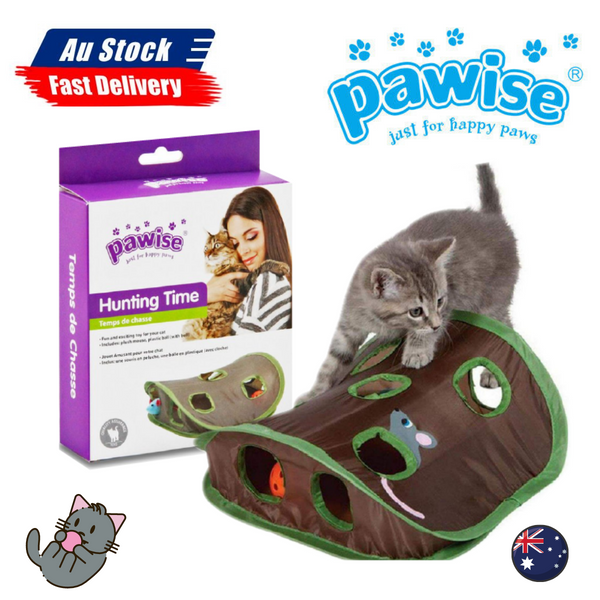 Pawise Mouse Hunt Cat Toy Hunting Time Curious Cats Multicolor Lightweight - Lets Party