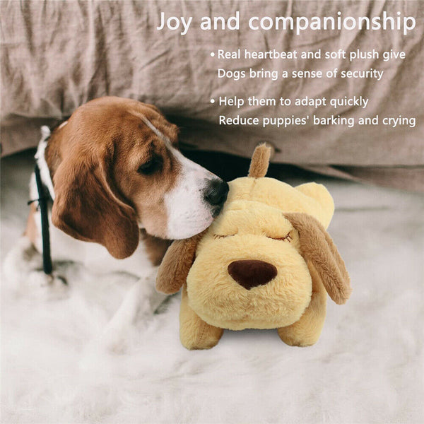 Puppy Cat Toy Heartbeat Soft Plush Sleeping Buddy Pet Dog Anxiety Behavioral Aid - Lets Party