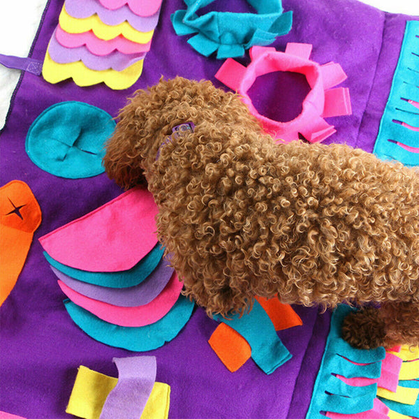 Dog Pet Nose Training Sniffing Pad Toys Blanket Game Feeding Cushion Snuffle Mat - Lets Party