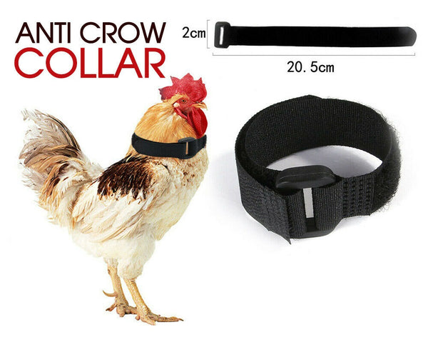 10pcs Anti Crow Collar for Roosters Cockerel No Crow Noise Neck Belt Nylon - Lets Party