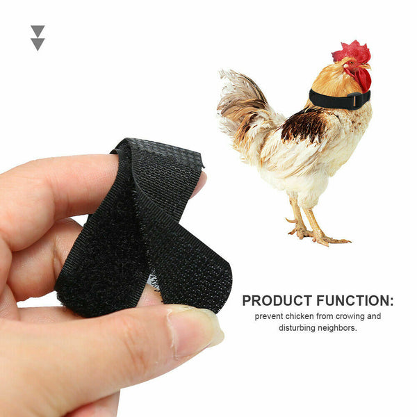 10pcs Anti Crow Collar for Roosters Cockerel No Crow Noise Neck Belt Nylon - Lets Party