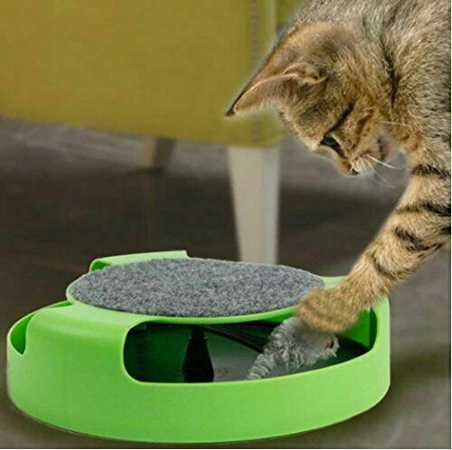 Motion Cat Toy Catch The Mouse Chase Interactive Cat Training Scratchpad - Lets Party