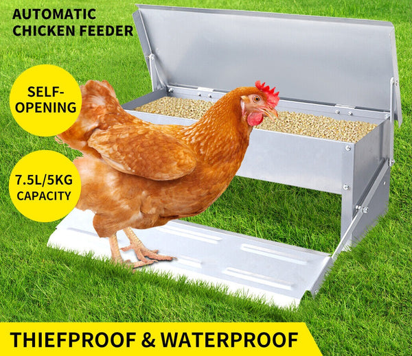 Automatic Chicken Feeder Auto Coop Chick Poultry Treadle Self Opening - Lets Party