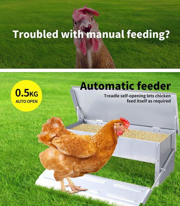 Automatic Chicken Feeder Auto Coop Chick Poultry Treadle Self Opening - Lets Party