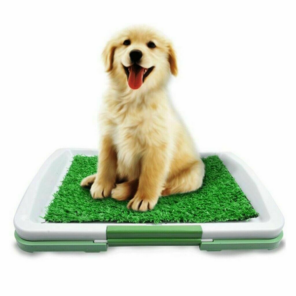 Indoor Grass Pad Potty Training Pet Basic Dog Loo Box Easy Clean Up Odour Resist - Lets Party