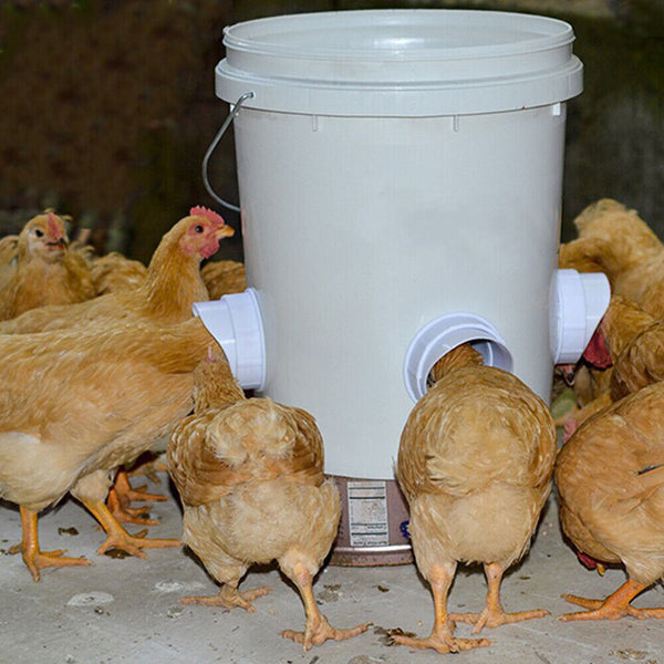 New Chicken Feeder Poultry Pro Feeder DIY Port PVC Gravity Fed Chicken Feeder AU - Lets Party