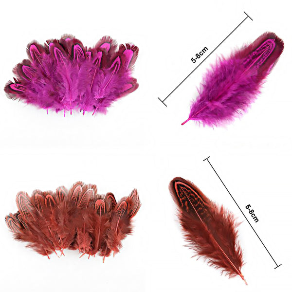 Mix Hen Pheasant Peacock Tail Eye Goose Feathers Wedding Millinery DIY Craft - Lets Party