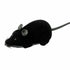 Pet Cat Puppy Toy Wireless Remote Control Electronic Rat Mouse Mice Toys - Lets Party