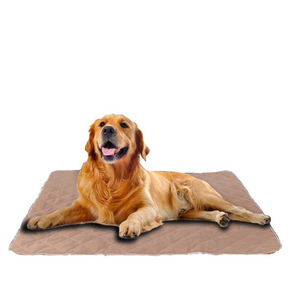 PaWz 2 Pcs 120x120 cm Reusable Waterproof Pet Puppy Toilet Training Pads - Lets Party