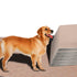 PaWz 2 Pcs 120x180 cm Reusable Waterproof Pet Puppy Toilet Training Pads - Lets Party
