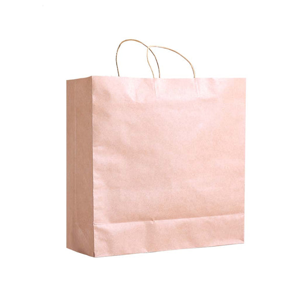 50x Brown Paper Bag Kraft Eco Recyclable Gift Carry Shopping Retail Bags Handles - Lets Party