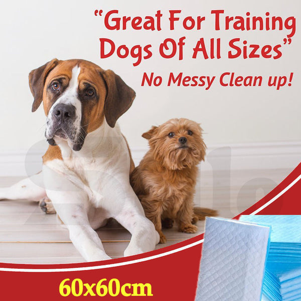 PaWz 100 Pcs 60x60cm Ultra Absorbent Puppy Pet Dog Cat Toilet Training Pads Blue - Lets Party