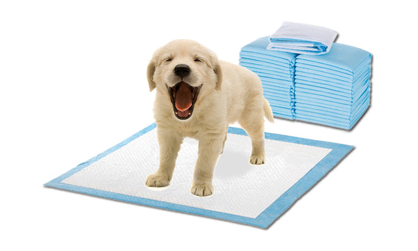 PaWz 100 Pcs 60x60cm Ultra Absorbent Puppy Pet Dog Cat Toilet Training Pads Blue - Lets Party