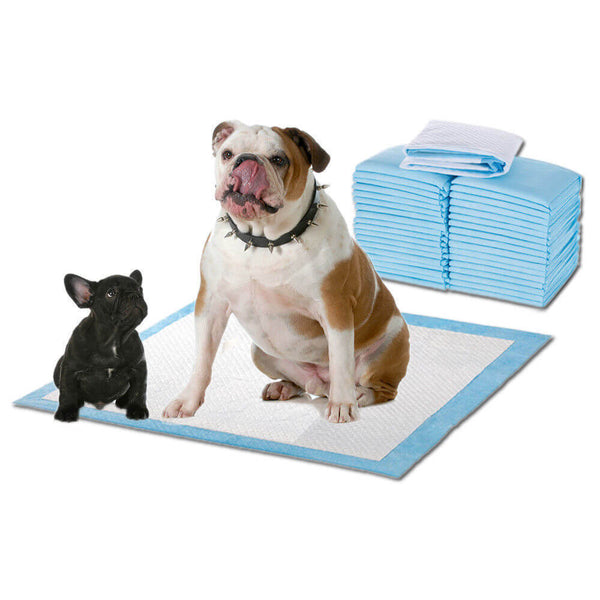 PaWz 100 Pcs 60x60cm Ultra Absorbent Puppy Pet Dog Cat Toilet Training Pads Blue - Lets Party