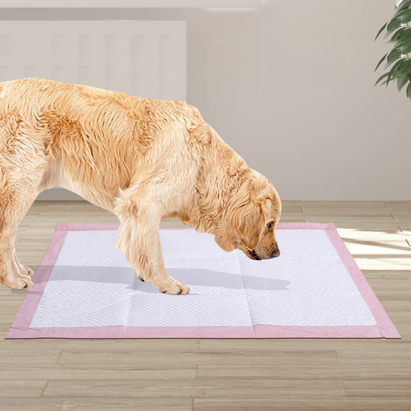 PaWz Pet Training Pads Puppy Dog Pads Absorbent Cushion Lavender Scent 100Pcs - Lets Party