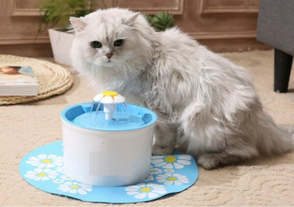 Cat Dog Pet Water Fountain Bowl Drinking Flower Water Dispenser Feeder Health - Lets Party