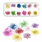 1-5X 3D Nail Art Dried Flowers Mixed Color Floral Pedal DIY Manicure Decal Decor