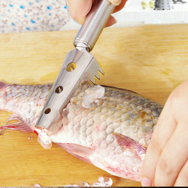 Fish Scale Scaler Scraper   Remover Cleaner  Kitchen Tool Stainless Steel