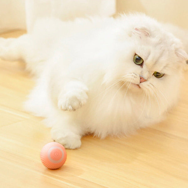 Interactive Smart Cat Toy Automatic Rolling Cat Ball Self-Moving Kitten Toys