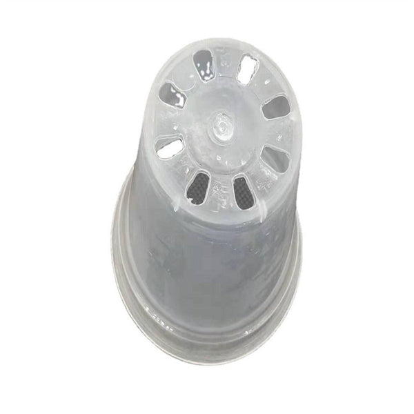 20X Clear Plastic Orchid Pots with Holes | Phalaenopsis, Paphiopedilum 76MM AUS