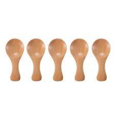 Mini Wooden Spoon Kitchen Spice Spoon Small Short Condiment Spoons Scoop