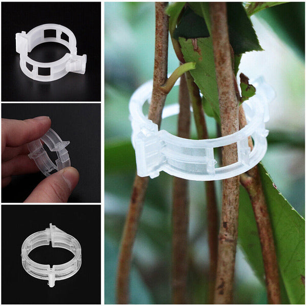 100x Tomato Greenhouse Garden Plant Support Veggie Clips Trellis Twine Clear AU