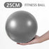 25cm Silver Gym Yoga Ball Home Fitness Exercise Balance Pilates Pregnancy Birthing - Lets Party