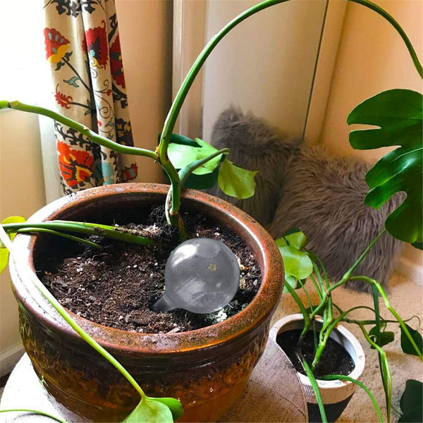 20Pcs Plant Water Bulbs Self Watering Globes Automatic Water Device Balls AUS