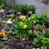 products/s-l1600_123fba7d-f0ca-4d92-874b-ccccc21e3e2f.jpg