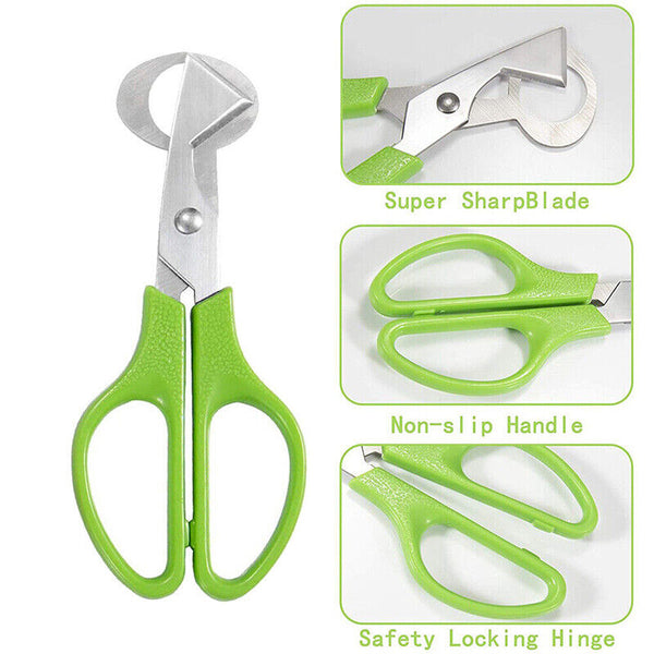 Pigeon Quail Egg Scissors Cracker Opener Cigar Cutter Tool Stainless Steel AU